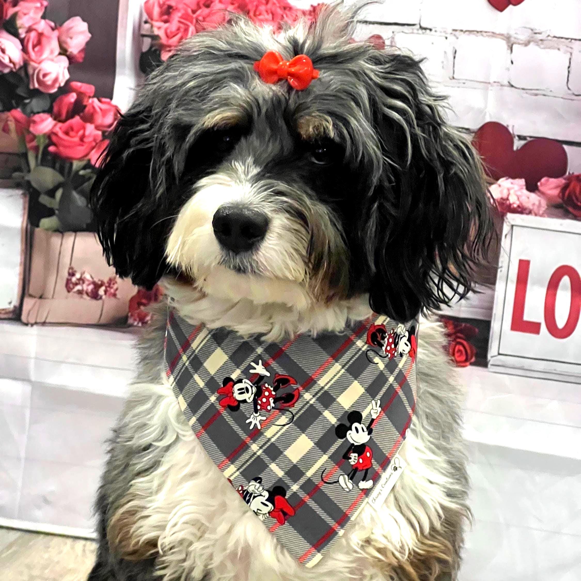 Mickey & Minnie Mouse Plaid Dog Bandana; Scrunchie Red, Gray, Black