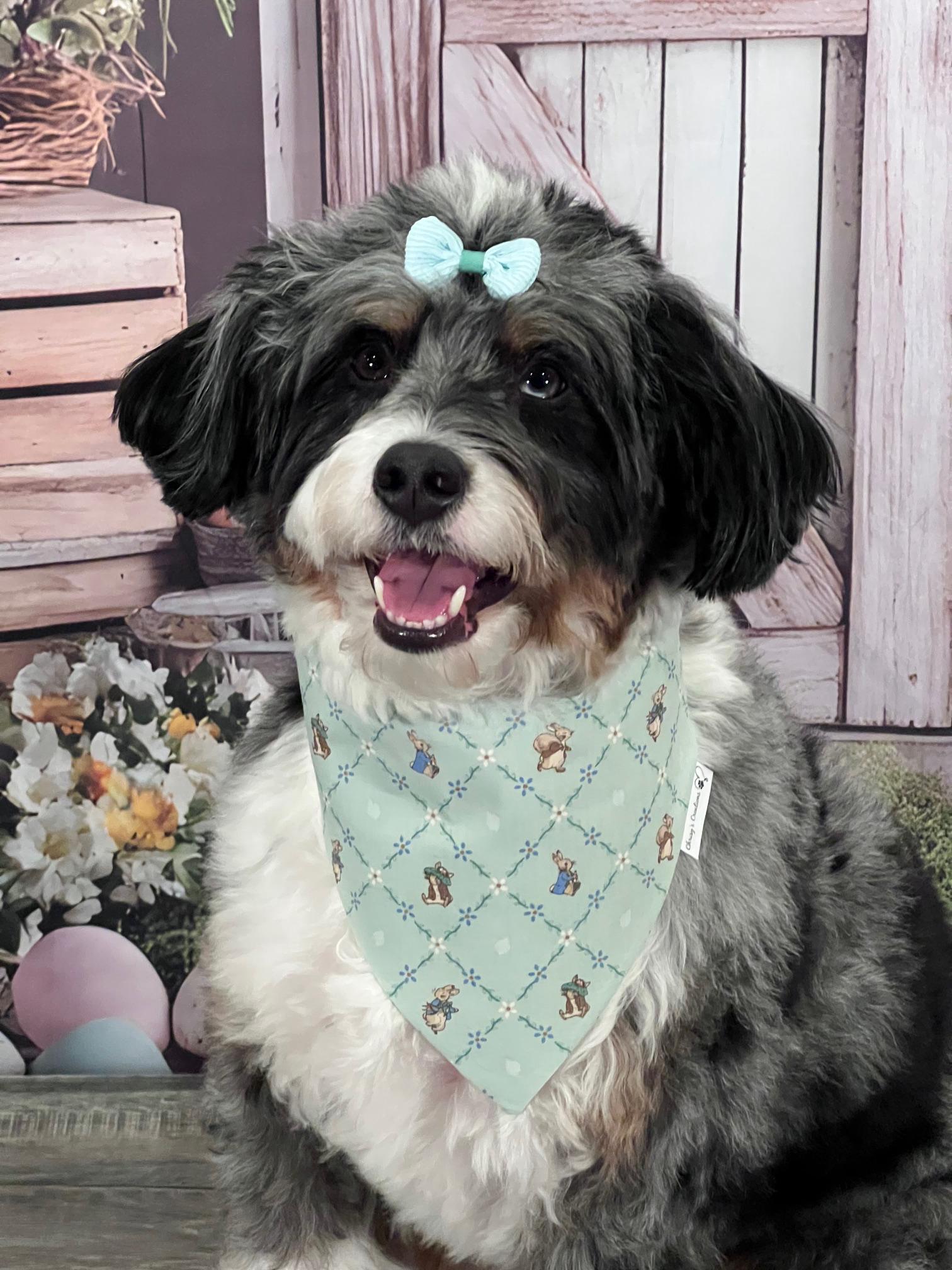 Easter Bunny Coquette Dog Bandana: Scrunchie Mint Green