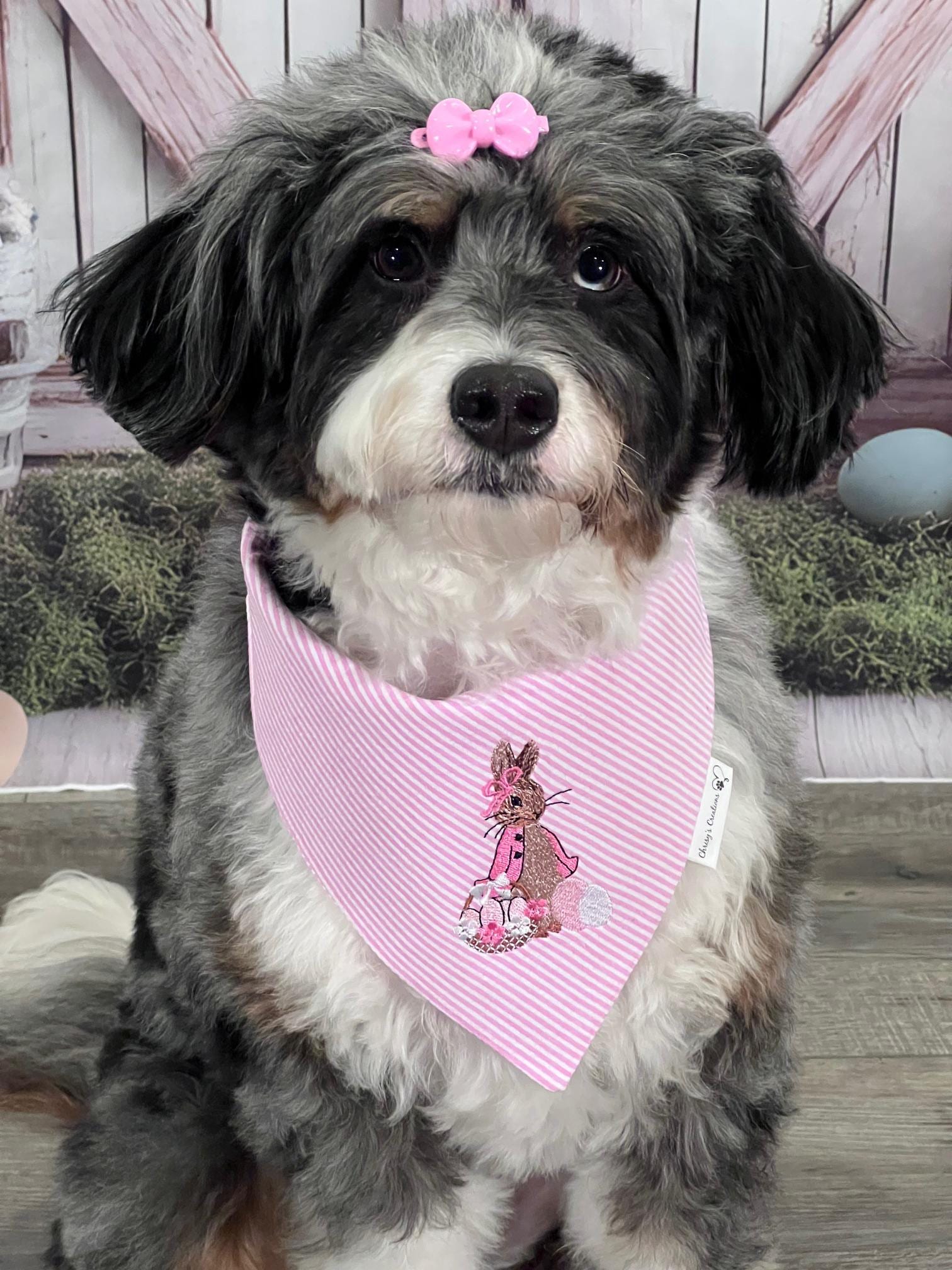 Easter Rabbit Dog Bandana: Scrunchie, Embroidered, Seersucker, Pink Girl or Blue Boy Bunny