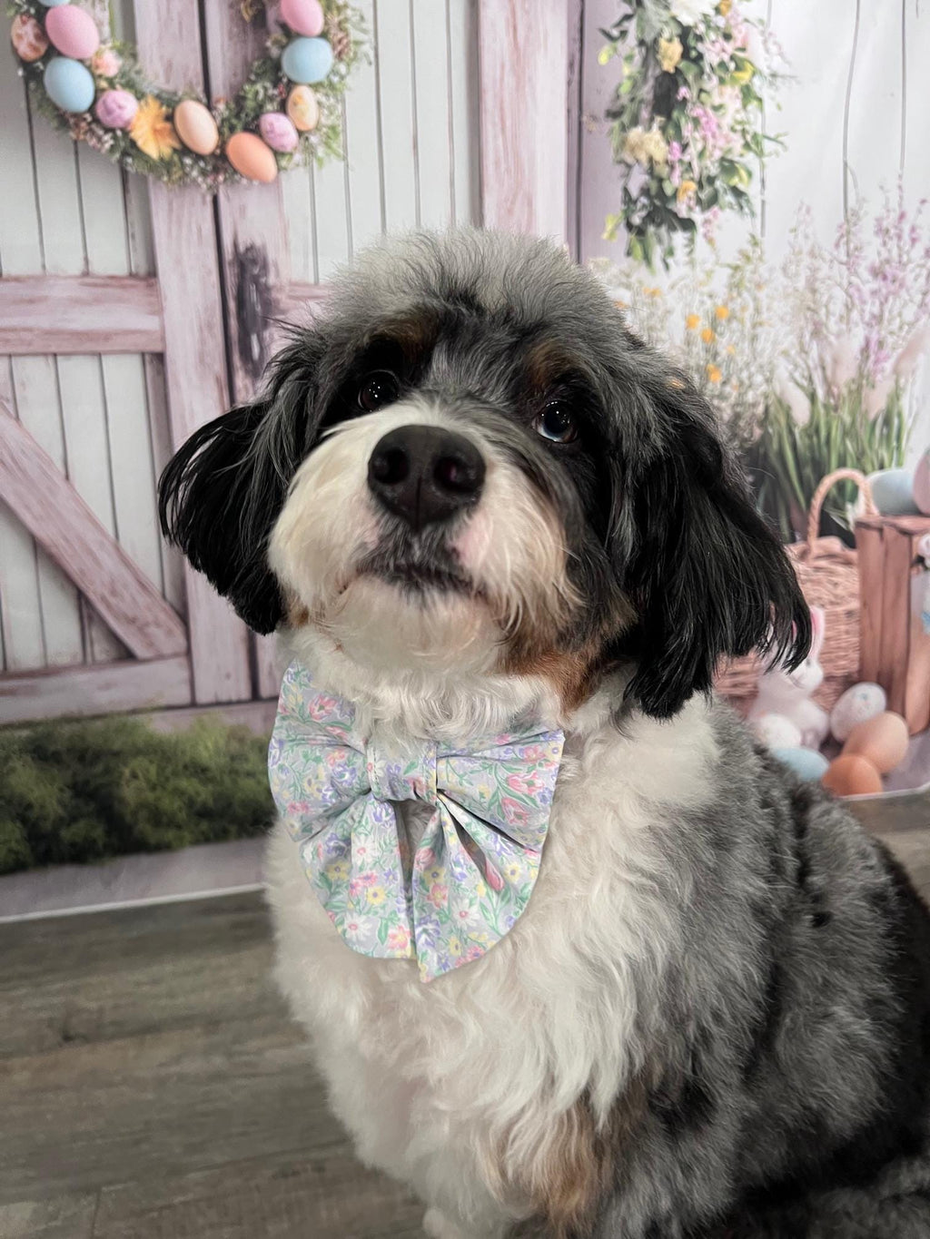 Easter Spring Blooms Floral Dog Bow: Sailor Bow, Lavender
