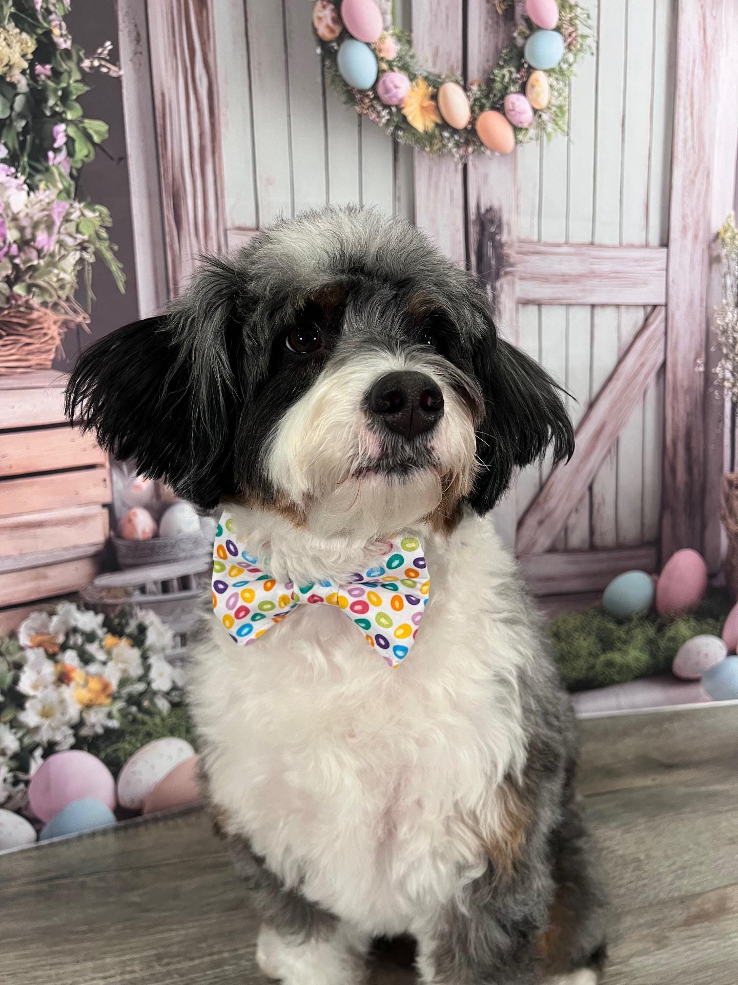 Easter Jellybeans Dog Bow Tie