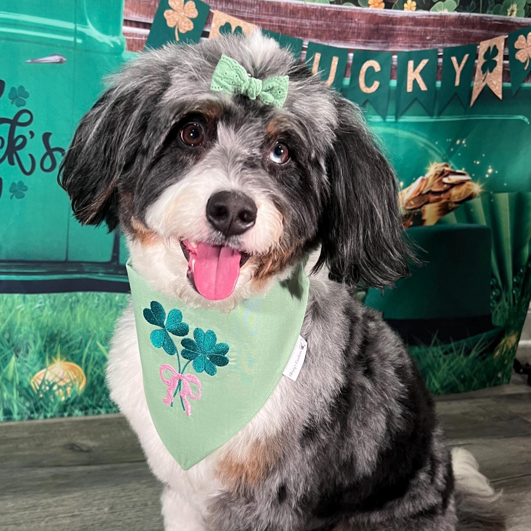St Patrick's Shamrock Bouquet Dog Bandana: Scrunchie Embroidered Four Leaf Clover