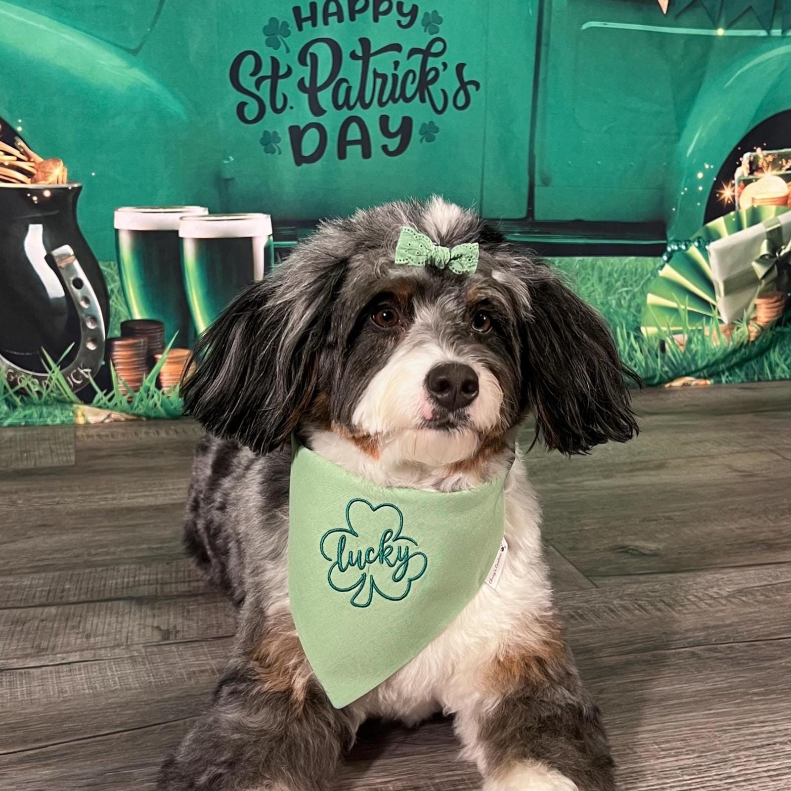 St Patrick's Lucky Clover Dog Bandana: Scrunchie Embroidered Shamrock