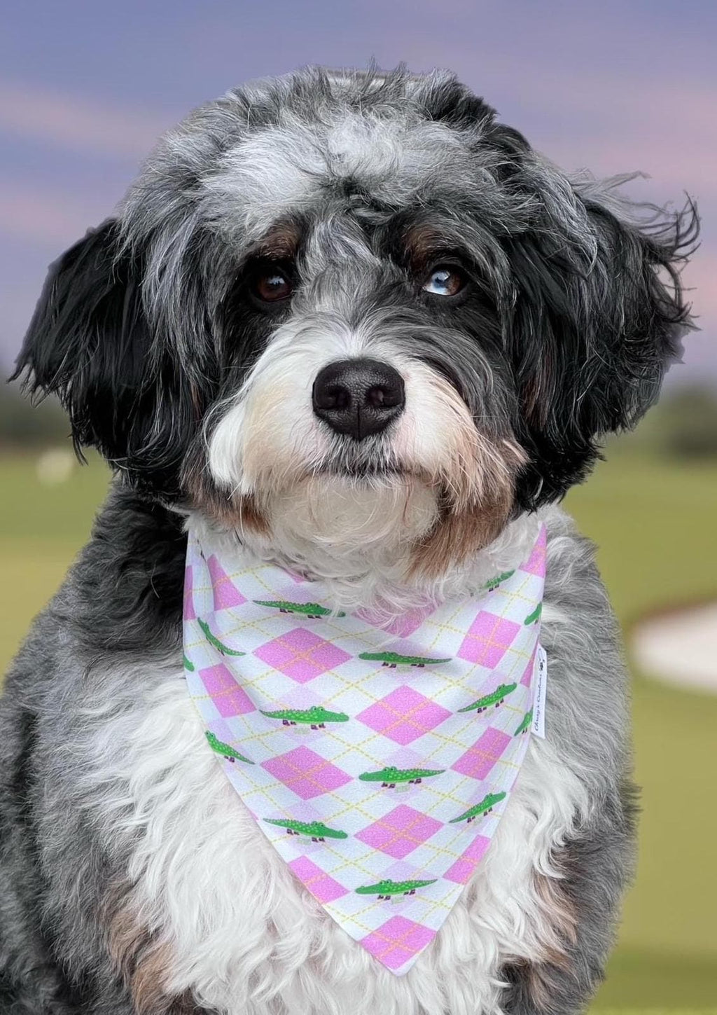 Crocodile Argyle Dog Bandana: Scrunchie Mint Green and Pink, Preppy, Luxe Couture