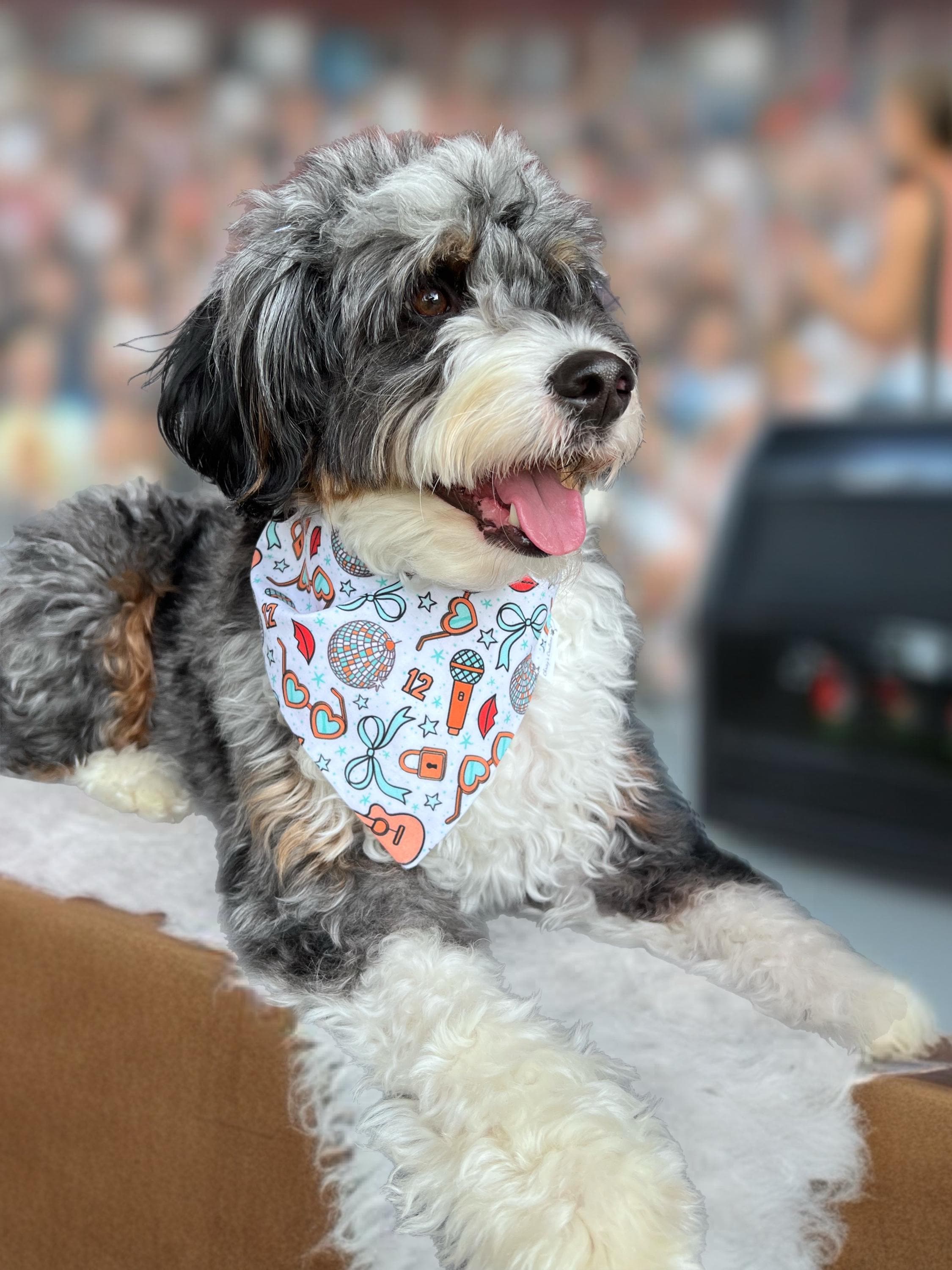 Showgirl Lover Scrunchie Dog Bandana: Swiftie