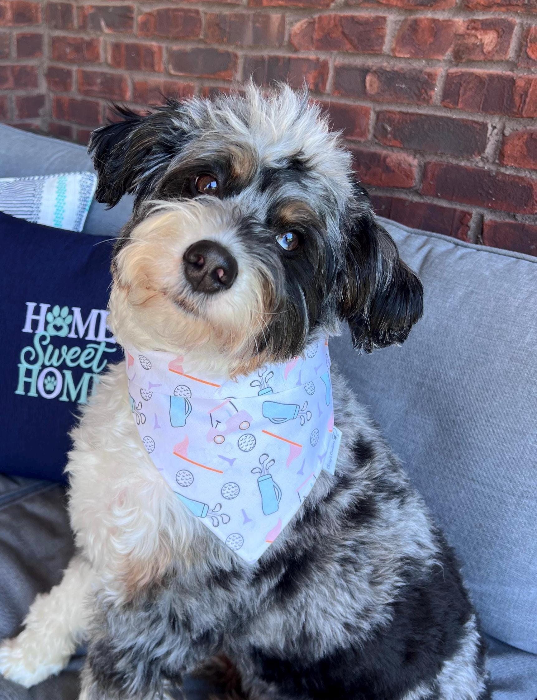 Let's Golf Dog Bandana: Scrunchie, Summer Golfing Pastels