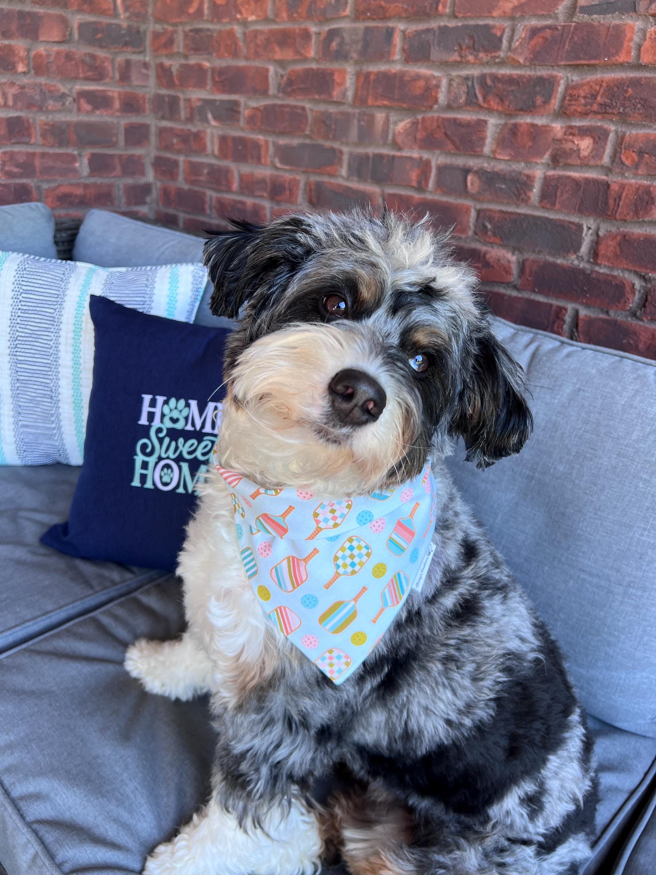Pickle Ball Dog Bandana: Scrunchie, Summer Teal