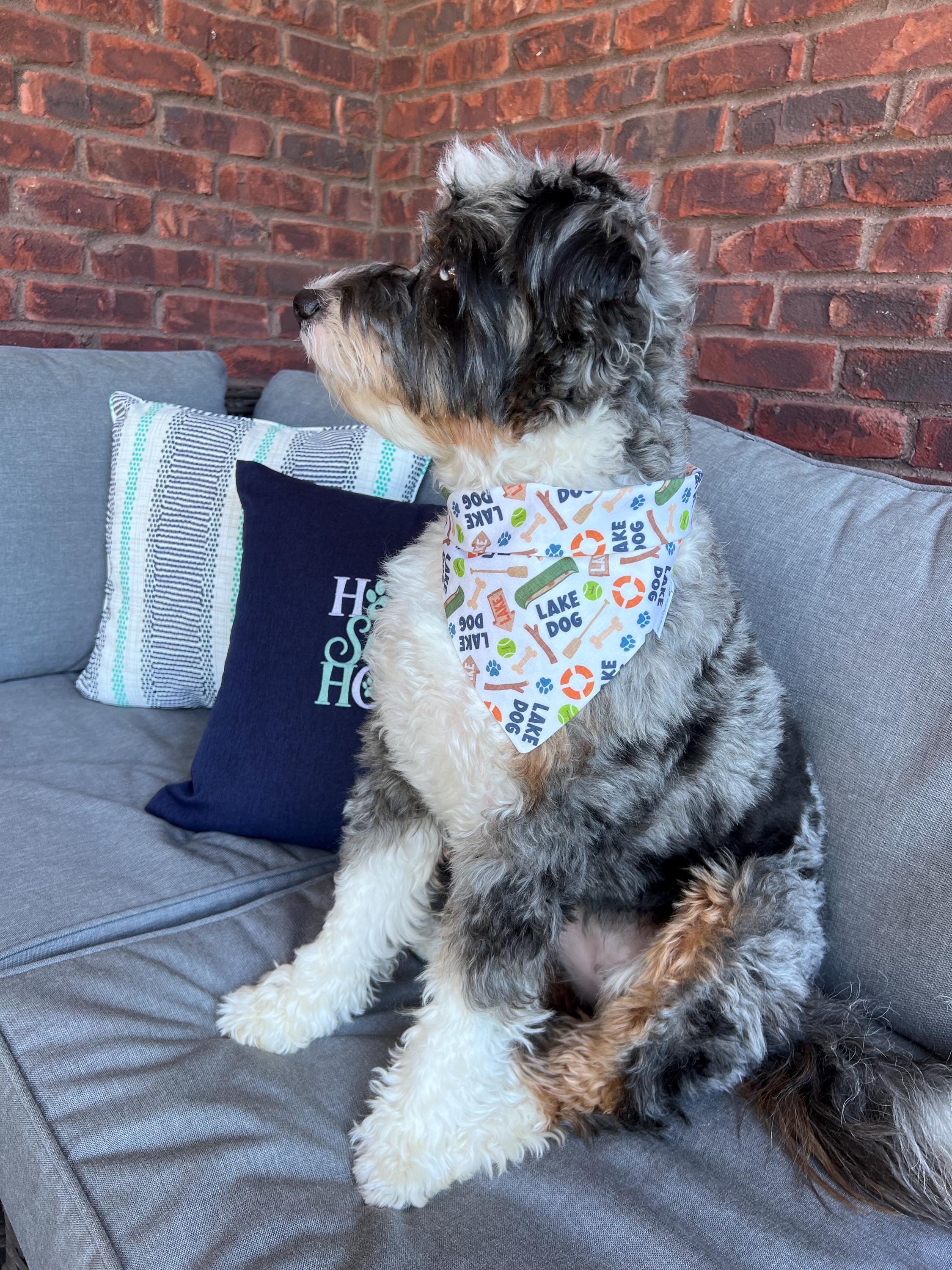 Lake Dog Bandana: Scrunchie, Summer Canoe