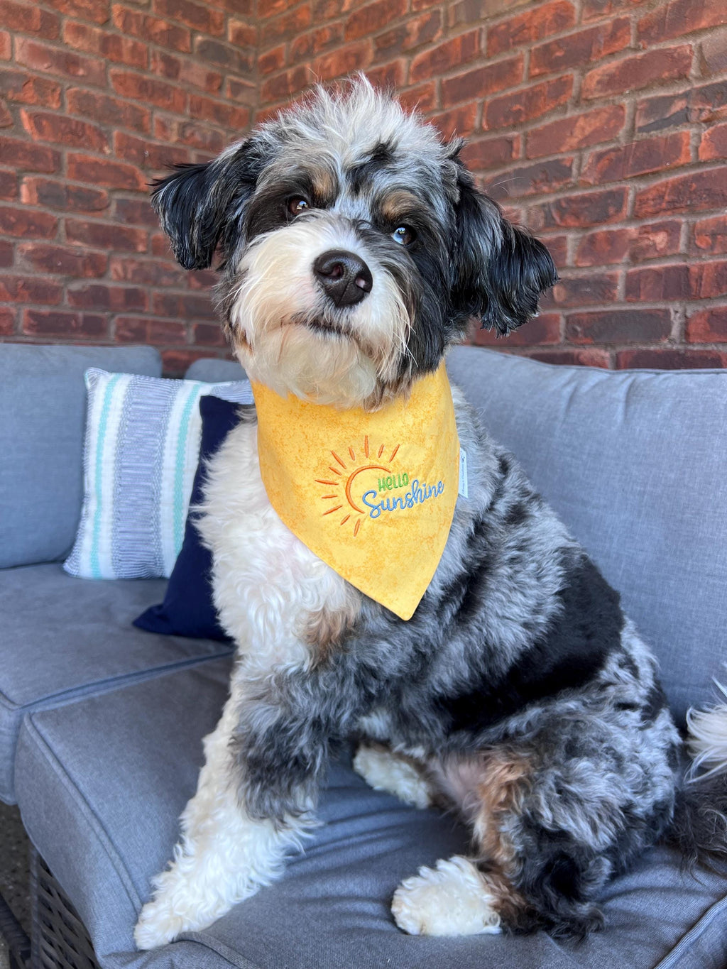 Hello Sunshine Dog Bandana: Scrunchie, Embroidered
