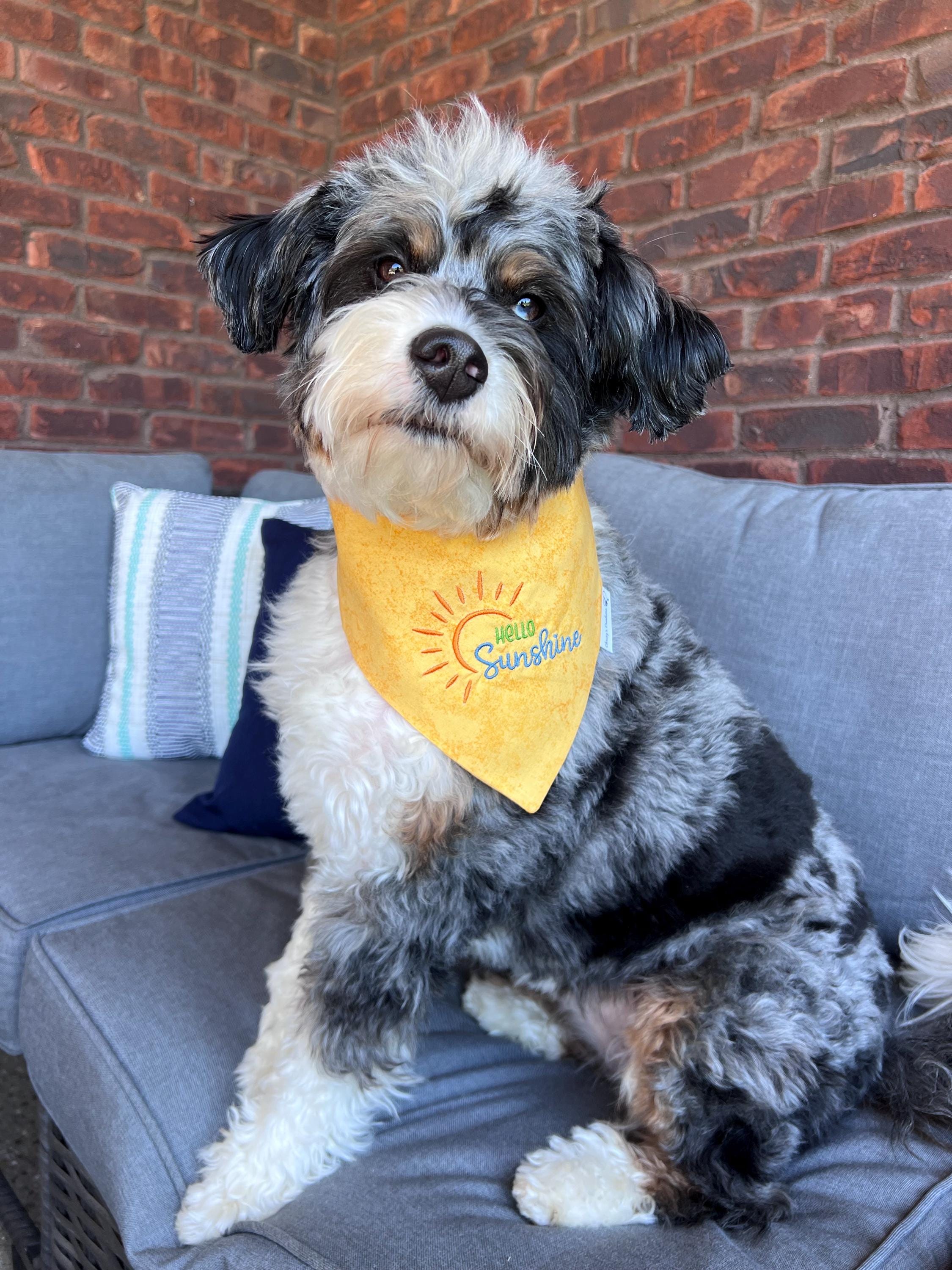 Hello Sunshine Dog Bandana: Scrunchie, Embroidered