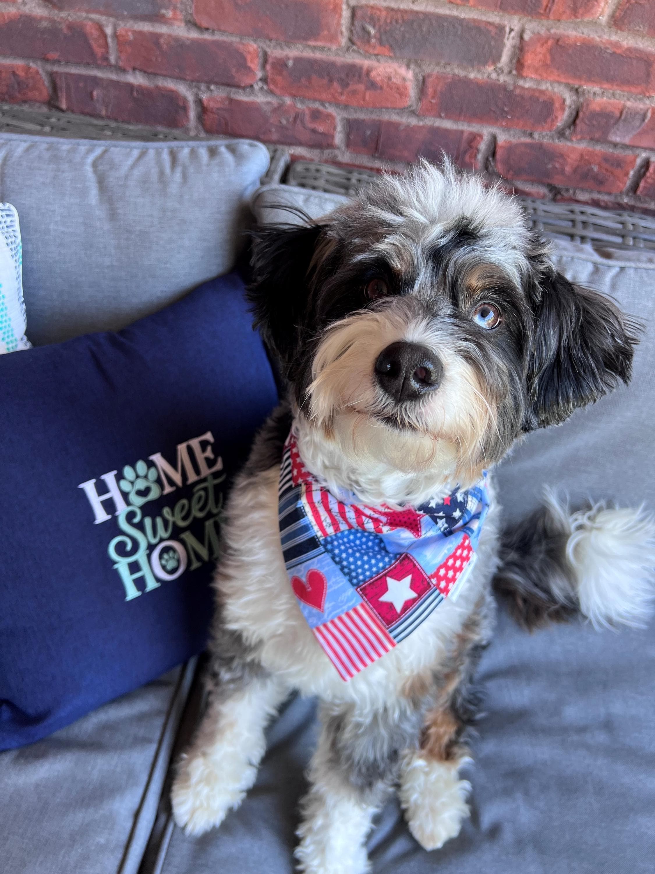 Patriotic Patches Scrunchie Dog Bandana / Bow Tie: Red, White, Blue Quilt, Hearts and Stars
