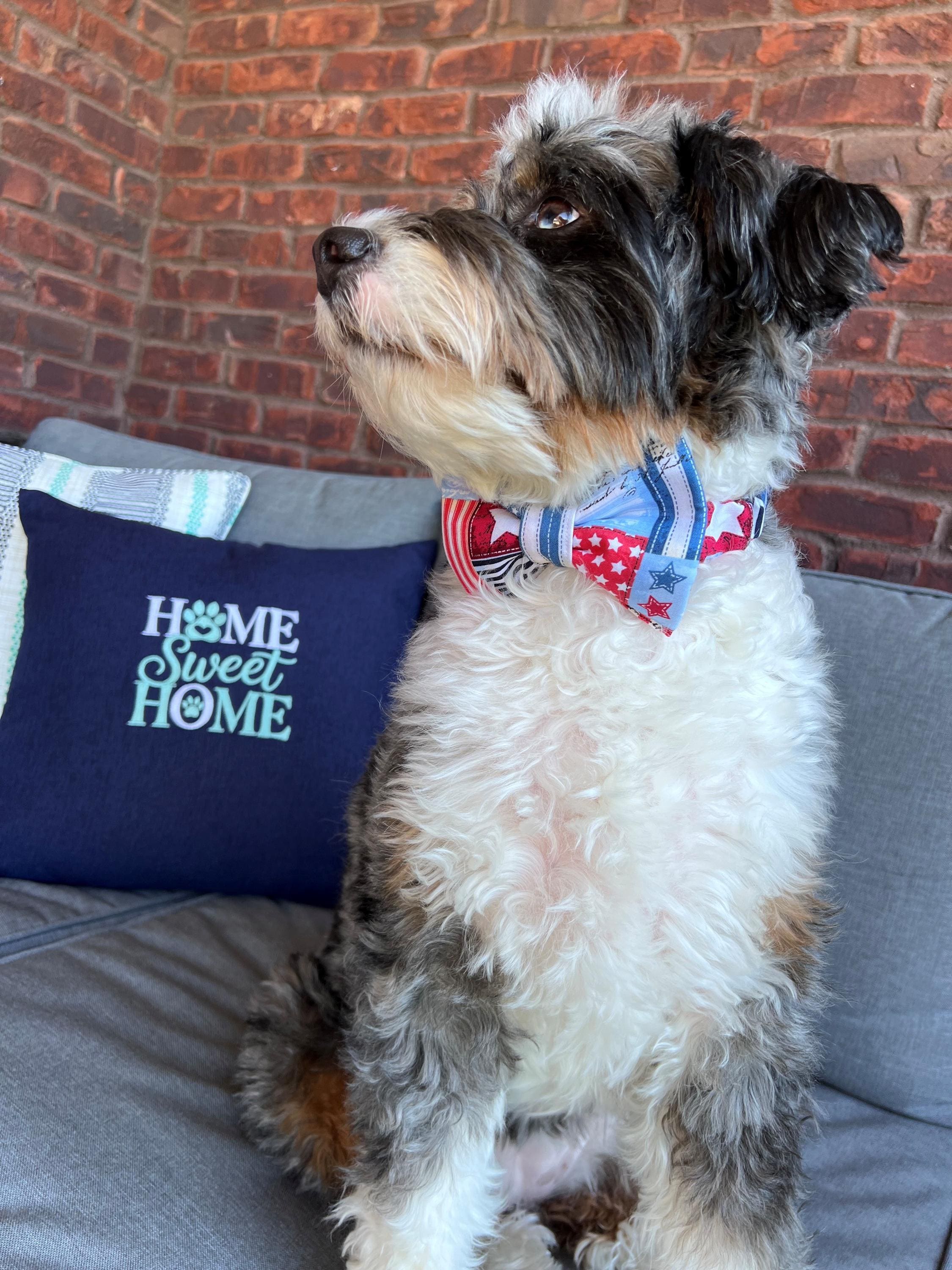 Patriotic Patches Scrunchie Dog Bandana / Bow Tie: Red, White, Blue Quilt, Hearts and Stars