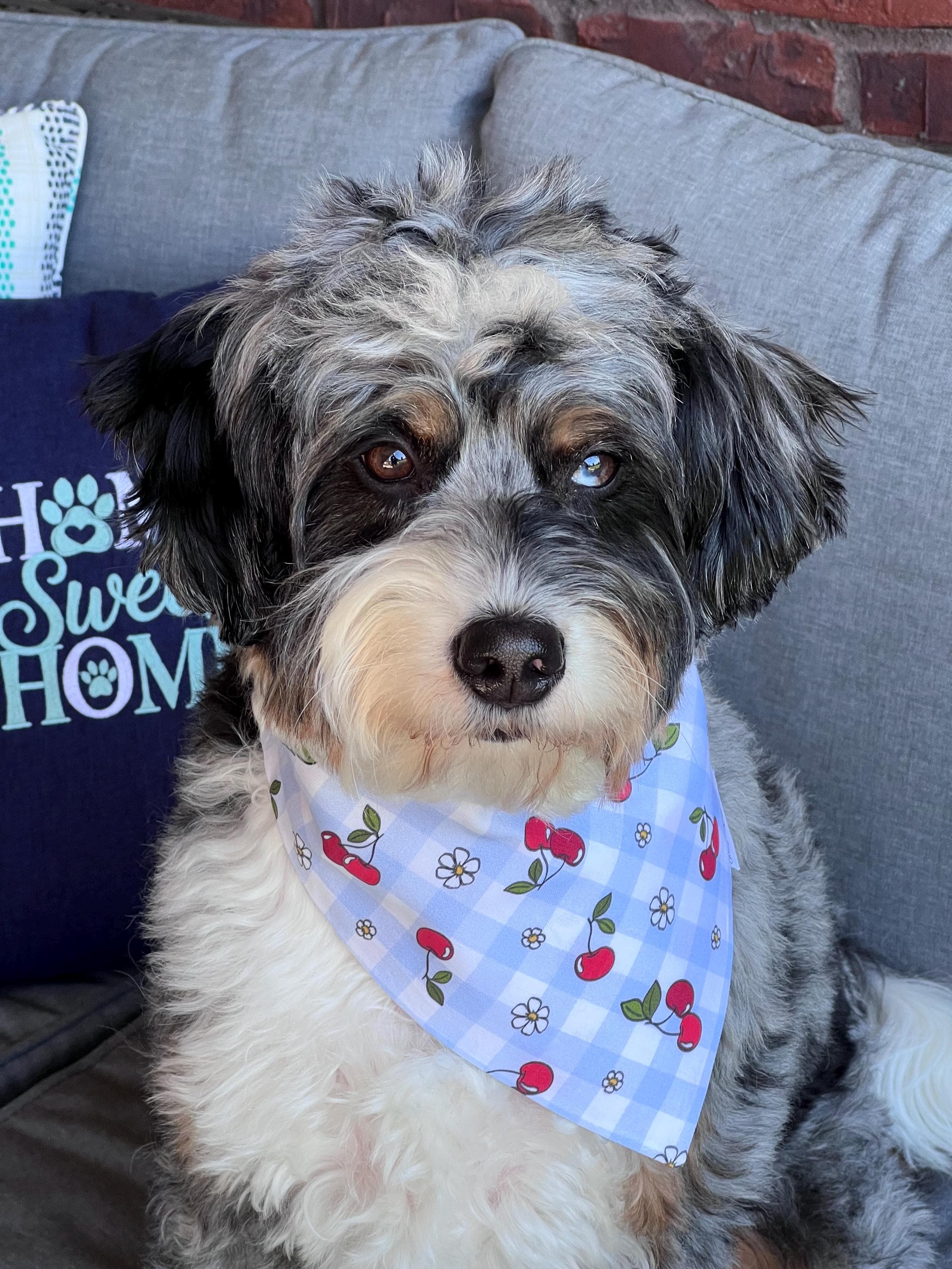 Patriotic Cherries Scrunchie Dog Bandana: Checkered Red, White, Blue Summer Fruit