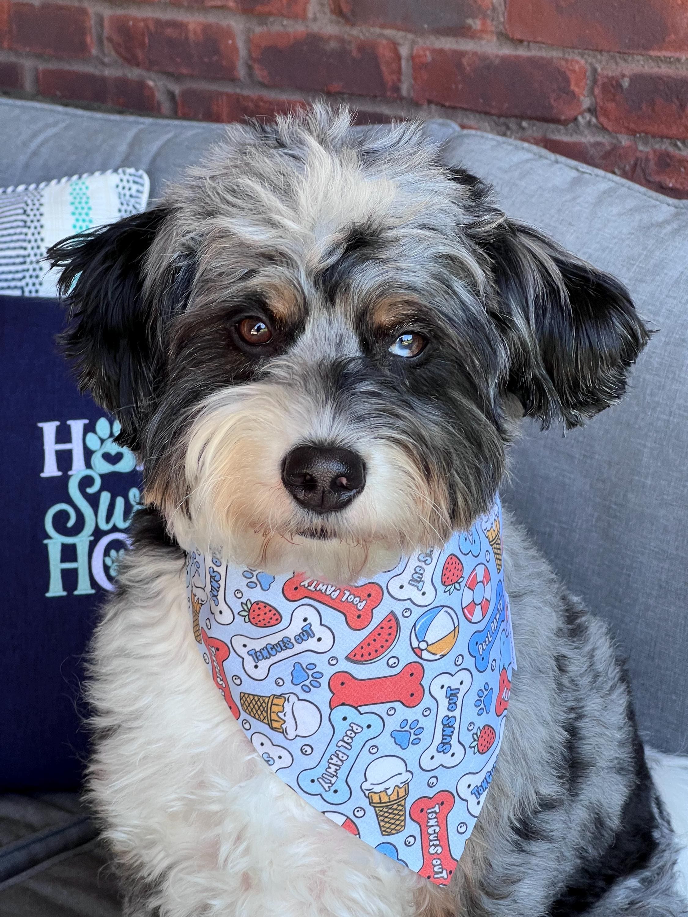 Patriotic Pool Party Scrunchie Dog Bandana: Red, White, Blue Summer Suns Out