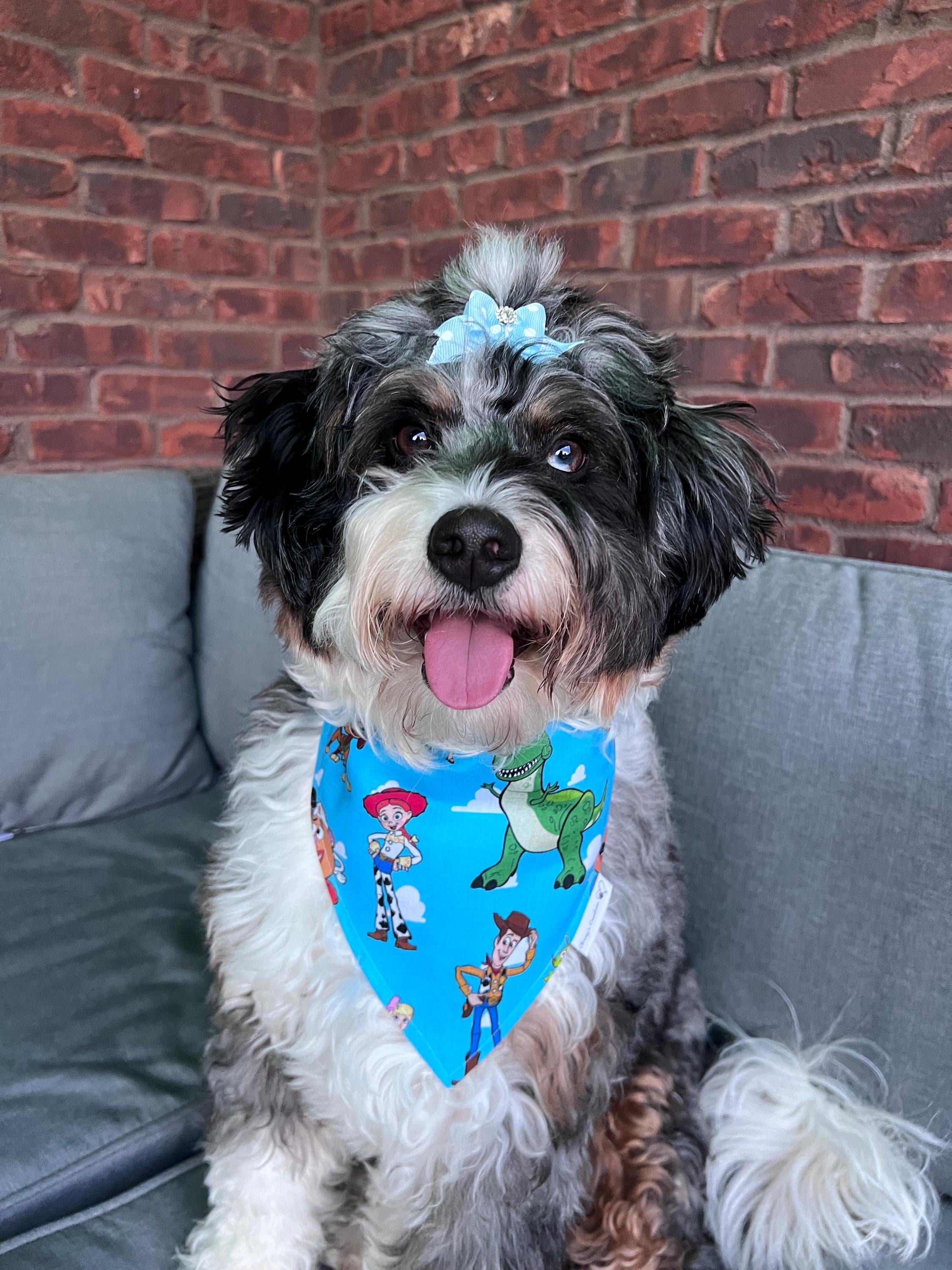 Toy Story Dog Bandana; Scrunchie, Woody Buzz