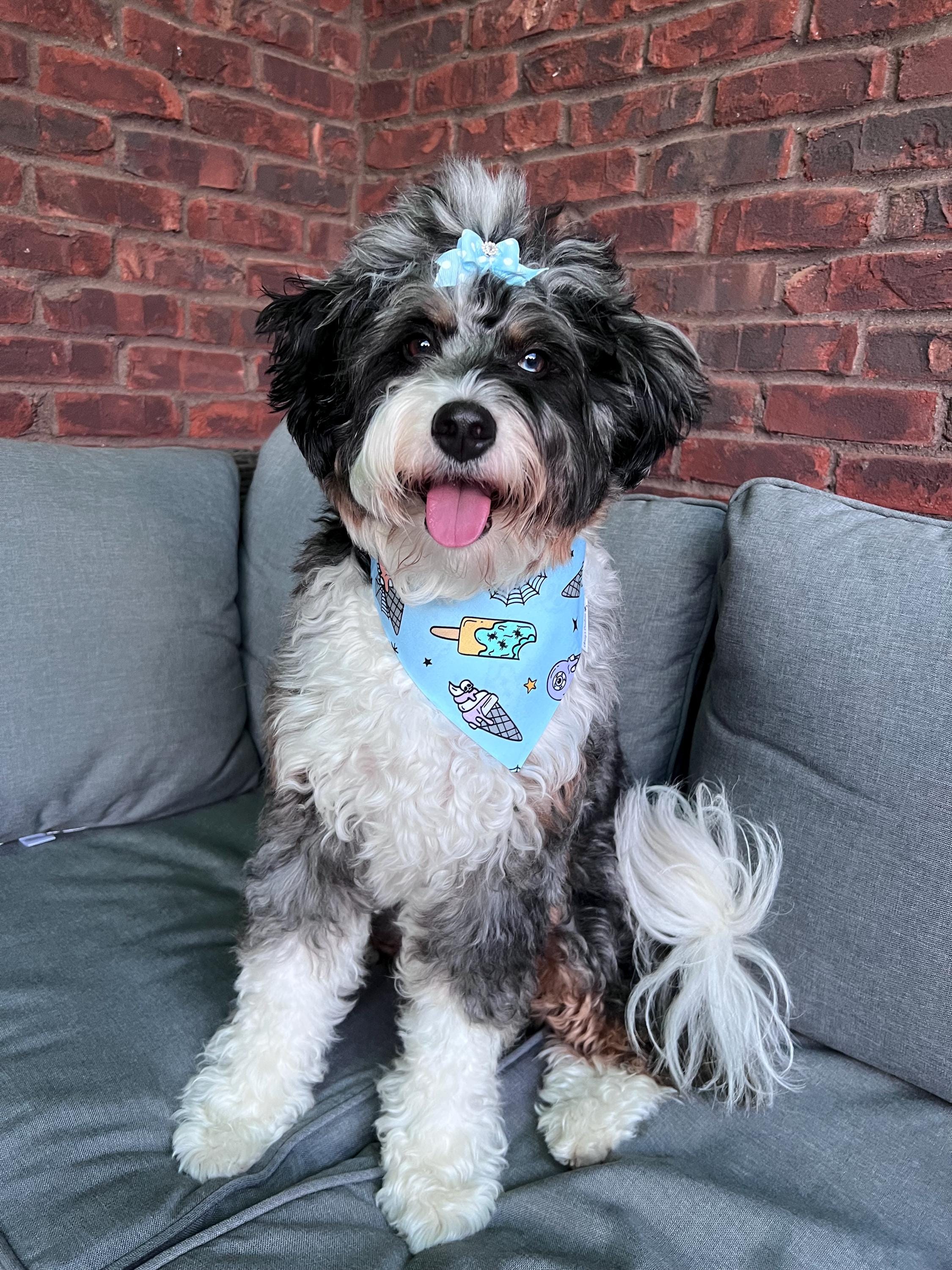 Summerween Dog Bandana: Scrunchie Scary Ice Cream Ghost Face Summer Halloween