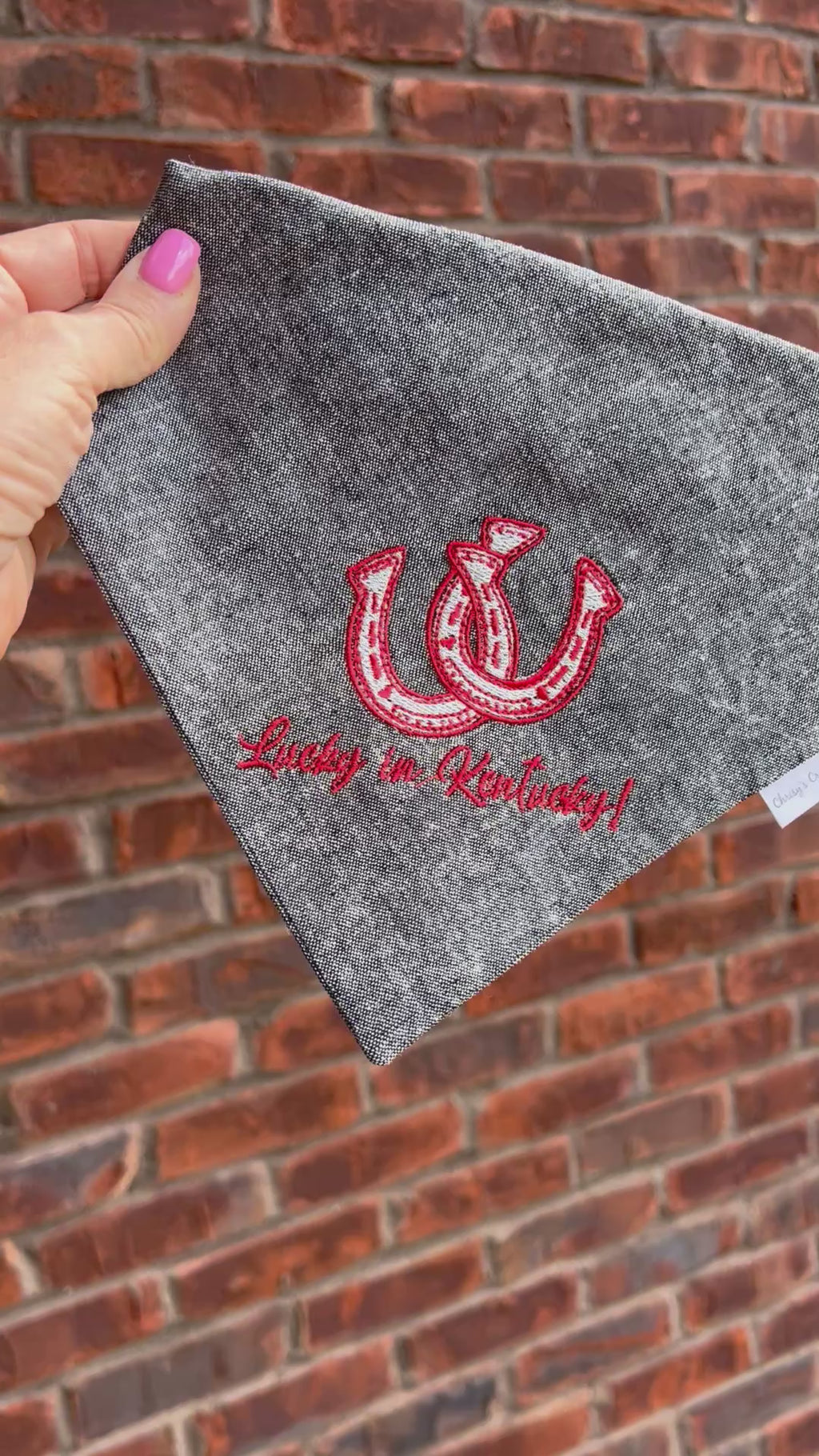 Lucky in Kentucky Embroidered Dog Bandana: Scrunchie Derby Horseshoe