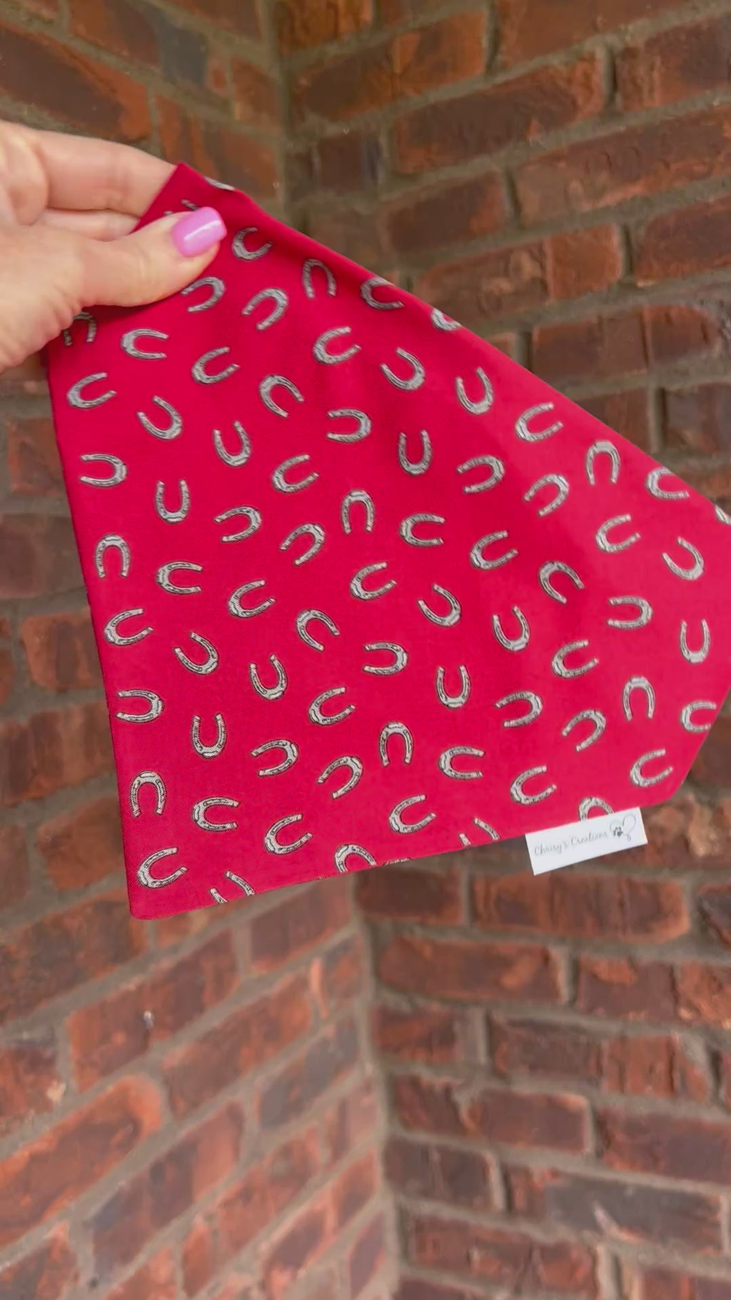 Horseshoe Red Derby Dog Bandana or Bow Tie : Scrunchie, Kentucky Derby